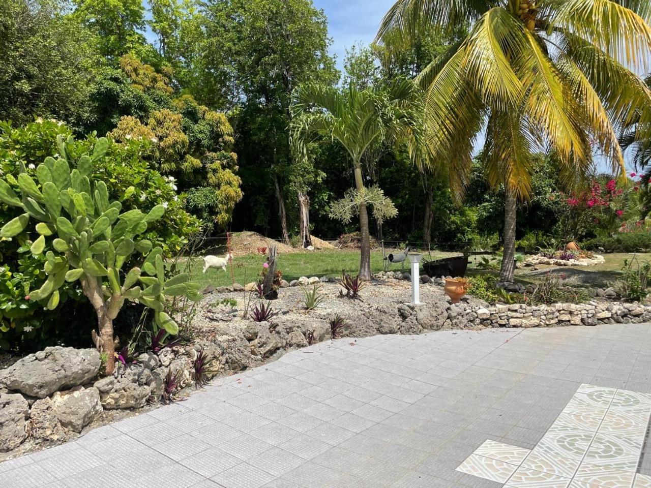 L'Aseta Paradise Grand-Bourg  Bagian luar foto
